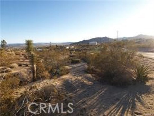 7275 Saddleback Rd, Home with 0 bedrooms, 0 bathrooms and null parking in Joshua Tree CA | Image 11