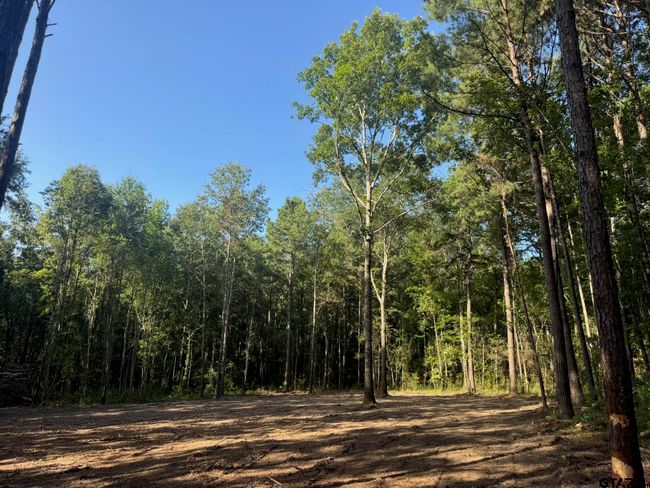 Tract 3A Cr 2322, Home with 0 bedrooms, 0 bathrooms and null parking in Rusk TX | Image 5