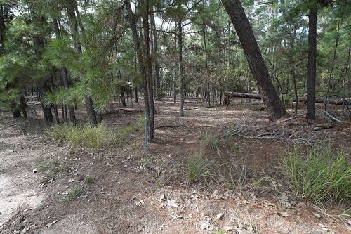 000 Red Fox Rd, La Grange, TX, 78945 | Card Image