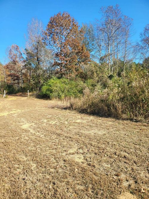 00 County Road 59, Nauvoo, AL, 35578 | Card Image