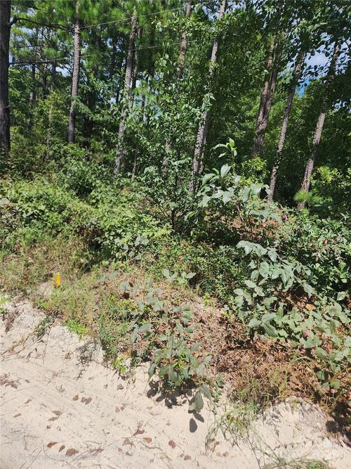 2340 Camp Rd, Bethune, SC, 29009-9060 | Card Image