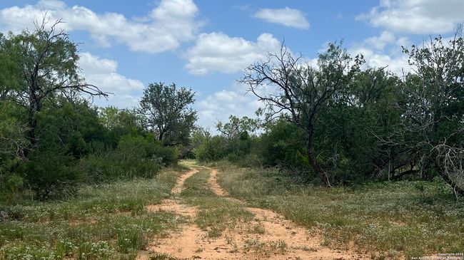 946 County Road 2863, Home with 0 bedrooms, 0 bathrooms and null parking in Bigfoot TX | Image 15