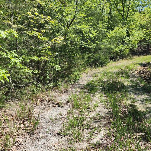 L-65 B-1 Kayenta Circle, Cherokee Village, AR, 72529 | Card Image