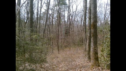 0 Cowee Mount, Highlands, NC, 28741 | Card Image