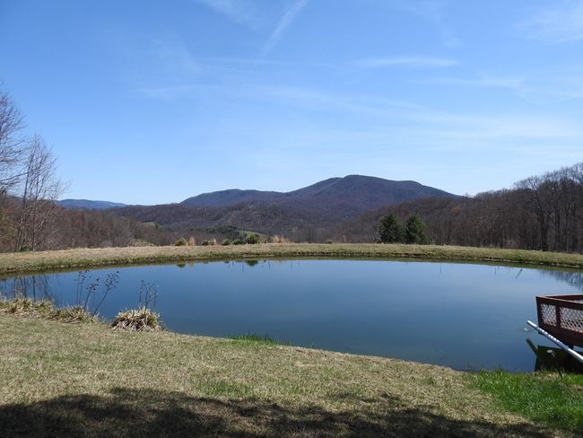 984 Cloverdale Rd, House other with 4 bedrooms, 1 bathrooms and null parking in Independence VA | Image 11