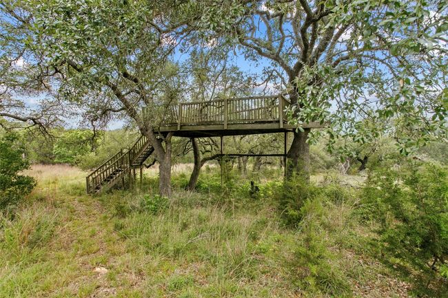 With a little love this treehouse could be the perfect hangout spot! | Image 34
