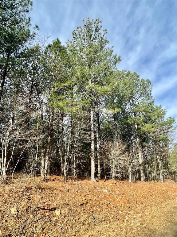 Land in Broken Bow 3