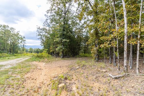 527 Thompson Bay Rd, New Blaine, AR, 72851-7003 | Card Image