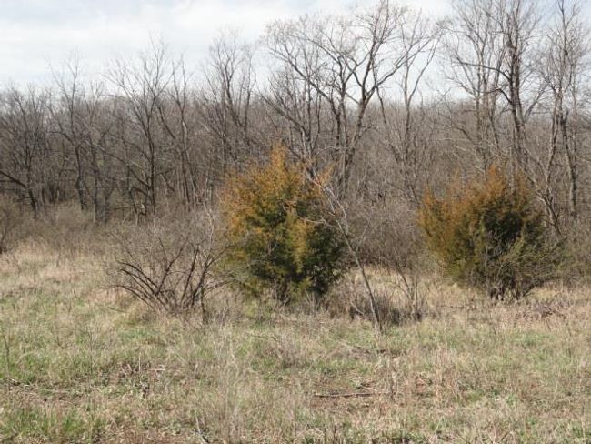 10.45 Acres Ringhand Rd, Home with 0 bedrooms, 0 bathrooms and null parking in SYLVESTER WI | Image 24