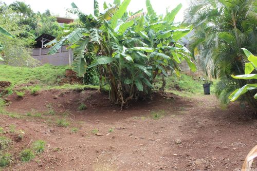 c-99-460 Fernridge Pl, Aiea, HI, 96701-3197 | Card Image