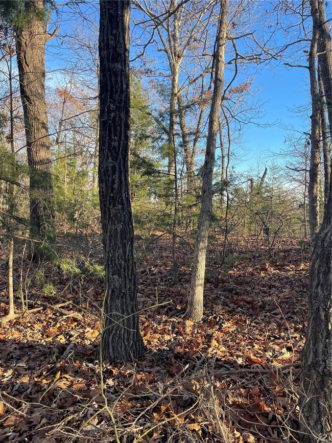 View of nature | Image 7