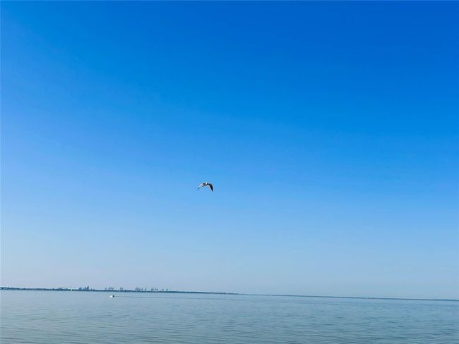 Waterfront | Image 49