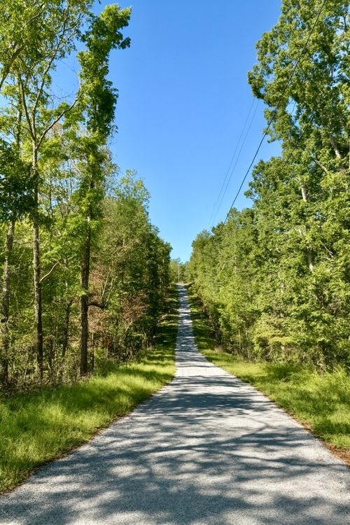 135 Old Hickory Dr, Holladay, TN, 38341 | Card Image