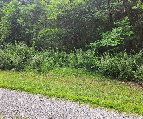 Lot 38 Hickory Hollow Rd, Copper Hill, VA, 24079 | Card Image