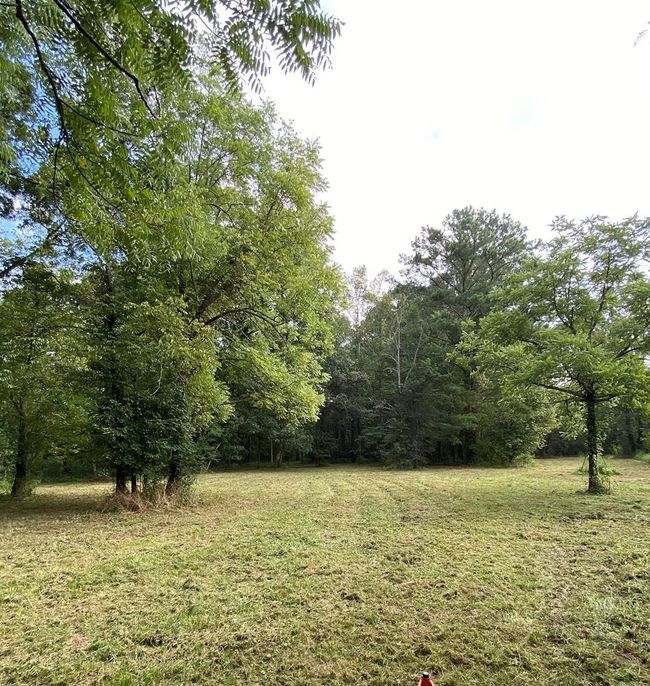 00 Cohutta Beaverdale Rd, Home with 0 bedrooms, 0 bathrooms and null parking in Cohutta GA | Image 29