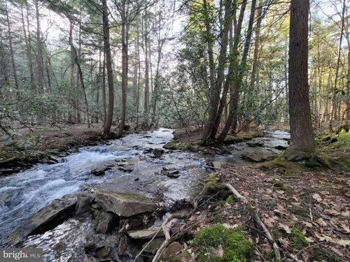 0 Back Hill Rd, Pottersdale, PA, 16871 | Card Image