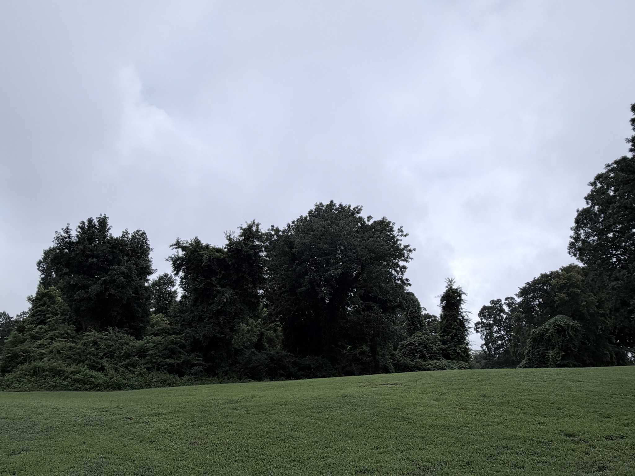 Land in Monteagle 5