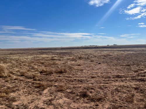 0 Fm-1317, Wilson, TX, 79381 | Card Image