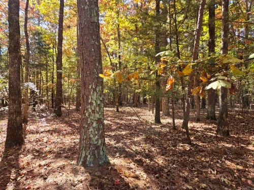 Lot 149 Granada Cir, Fairfield Bay, AR, 72088 | Card Image