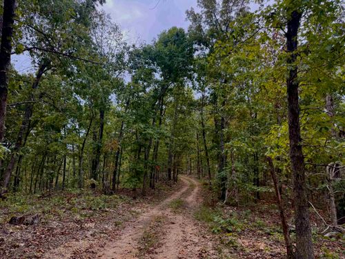 XX Firetower Rd, Hardy, AR, 72542 | Card Image