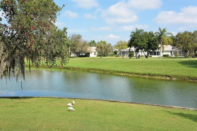 APT-202 - 4211 Caddie Dr E, Condo with 2 bedrooms, 2 bathrooms and null parking in BRADENTON FL | Image 58