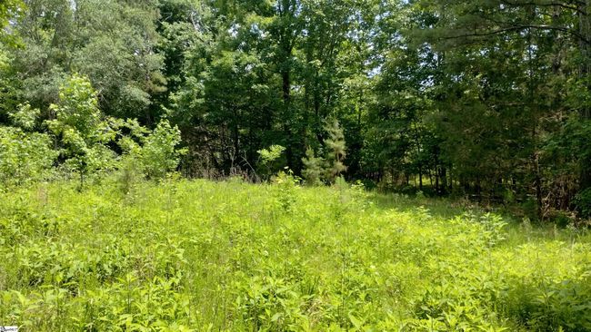 00 Fort Lindley Rd, Home with 0 bedrooms, 0 bathrooms and null parking in Laurens SC | Image 7