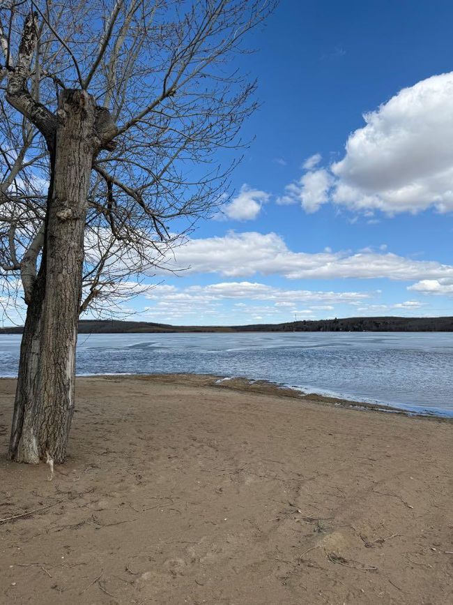 11 - 25054 Pine Lake Rd S, Home with 0 bedrooms, 0 bathrooms and null parking in Red Deer County AB | Image 41