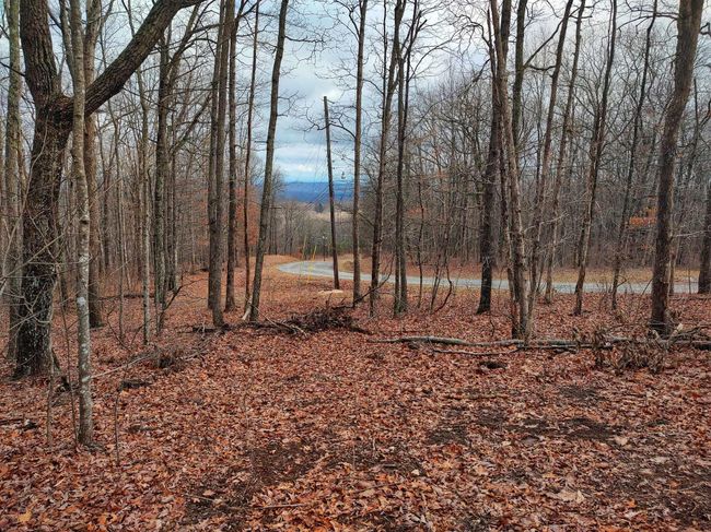 75 Renegage Mountain Parkway, Home with 0 bedrooms, 0 bathrooms and null parking in Crab Orchard TN | Image 15