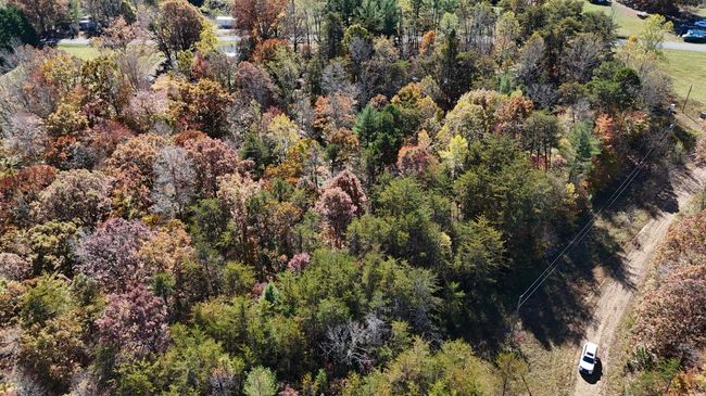 DJI_20241102133410_0074_D | Image 10