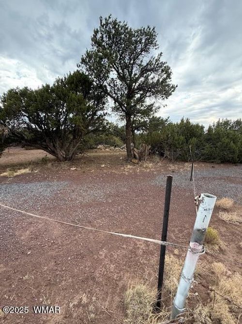 35 County Road 3044, Concho, AZ, 85924 | Card Image