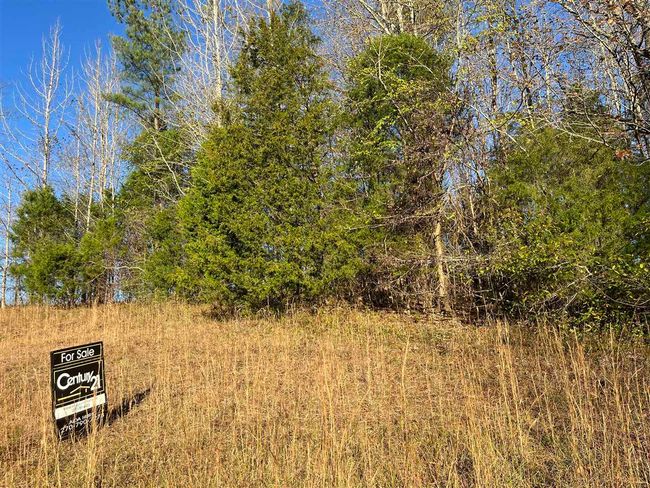 Lot 81 Cheyenne Pass Rd, Home with 0 bedrooms, 0 bathrooms and null parking in Austin KY | Image 4
