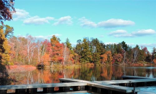 56 11 1/8 Ave, Cameron, WI, 54822 | Card Image