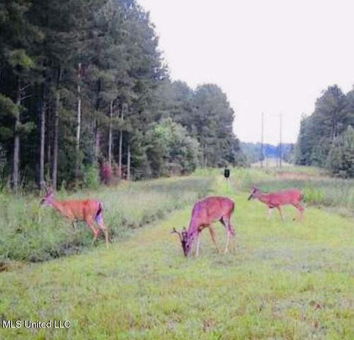 No Little Black Creek Rd, Lumberton, MS, 39455 | Card Image