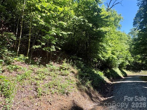 38-0 Middle Ridge Dr, Whittier, NC, 28789 | Card Image