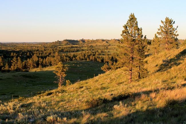 SC-28 - TBD Lone Rock Canyon Lane, Home with 0 bedrooms, 0 bathrooms and null parking in Hysham MT | Image 17