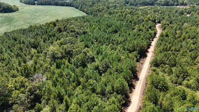 002 Hwy 68, Home with 0 bedrooms, 0 bathrooms and null parking in Gaylesville AL | Image 14