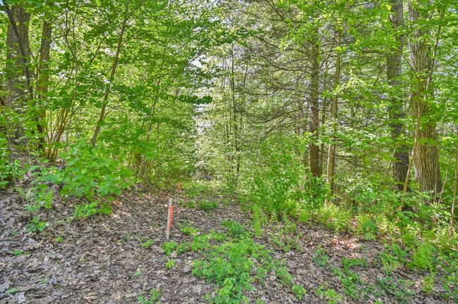 39 Ratlum Mountain Rd, House other with 3 bedrooms, 2 bathrooms and null parking in Barkhamsted CT | Image 18