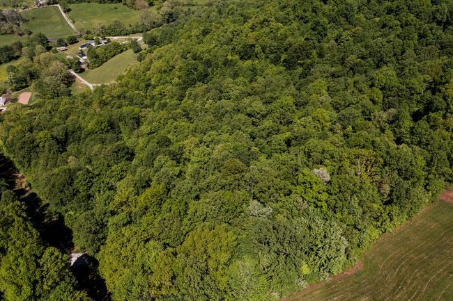Aerial of Wooded Section | Image 40