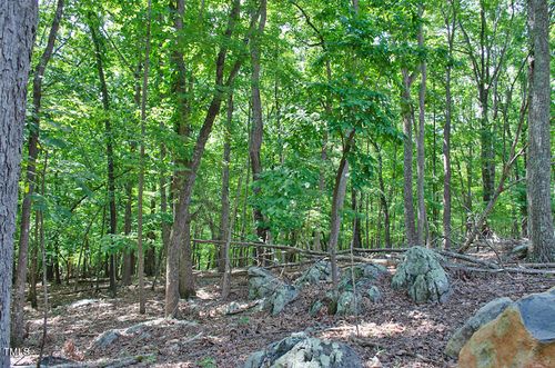 148 Lookout Ridge Way, Rougemont, NC, 27572 | Card Image