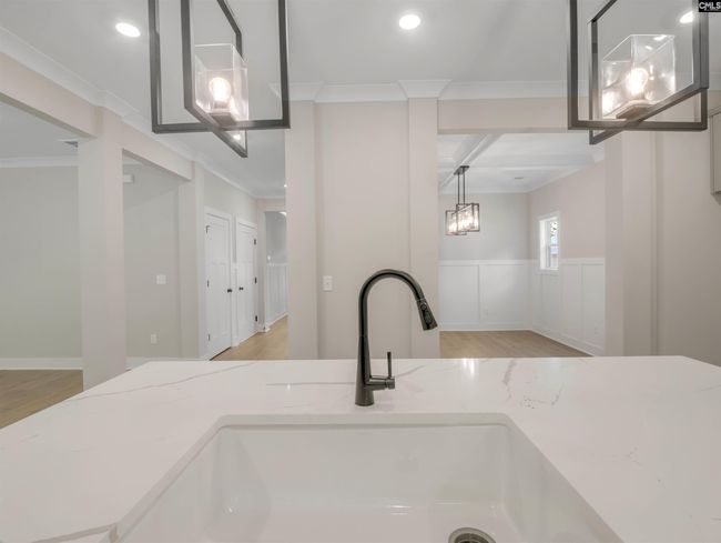 191 Collins Cove Drive, House other with 5 bedrooms, 3 bathrooms and null parking in Chapin SC | Image 19