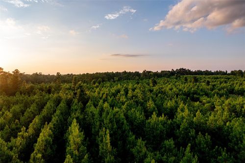 1999 Cherokee Trail, Lovelady, TX, 75851 | Card Image