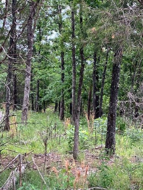 278 Madison Cr 410, Fredericktown, MO, 63645 | Card Image