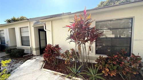 11737 Spring Tree Ln, PORT RICHEY, FL, 34668-1154 | Card Image