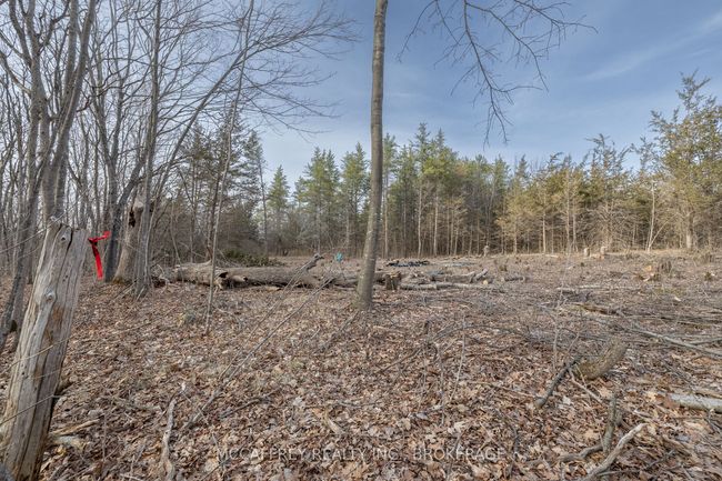 PT 11 Meach Rd, Home with 0 bedrooms, 0 bathrooms and null parking in Greater Napanee ON | Image 5
