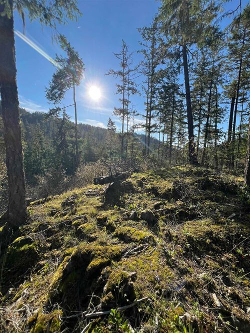 lot-8-13685 Lee Rd, Garden Bay, BC, V0N1S1 | Card Image