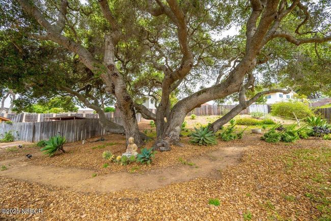 30-Back Yard | Image 24