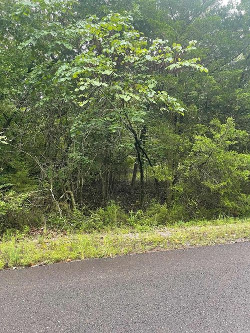 11 Brilliante Ln, Hot Springs Village, AR, 71909 | Card Image
