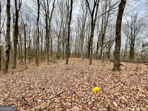128 Locust Log Ln, Scaly Mtn, NC, 28775 | Card Image