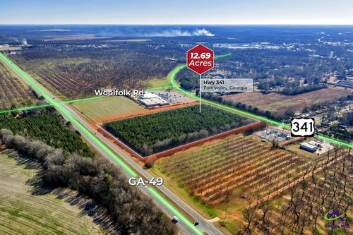 Hwy 341/49 Highway 341/49, Fort valley, GA, 31030 | Card Image