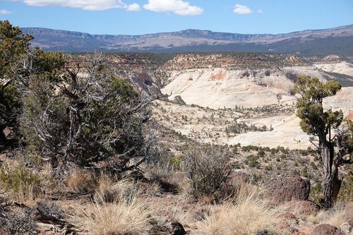 12b-316 Pinion Branch North Dr, Boulder, UT, 84716 | Card Image